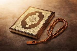 قرآن و تاریخ انسان